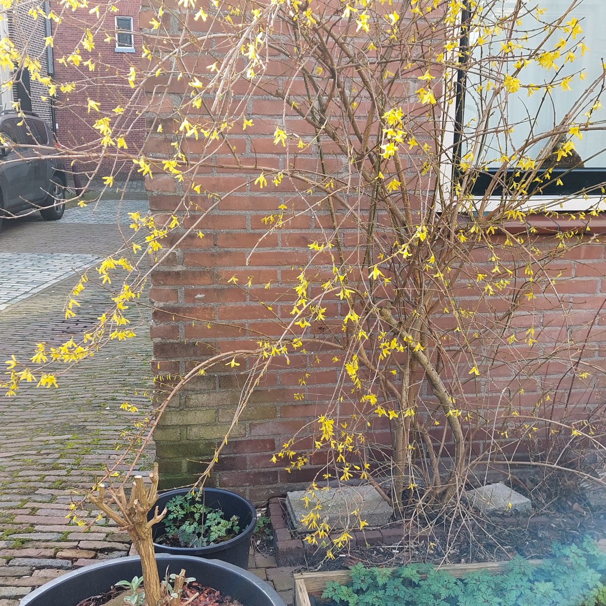 Je eigen ritme&nbsp;volgen