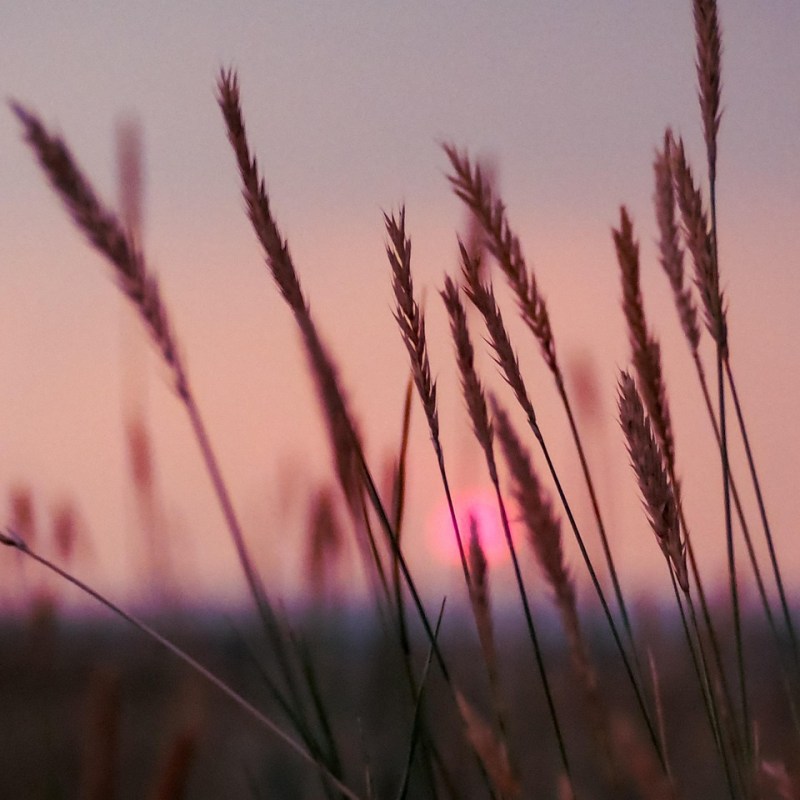 Wat ik wél zelf heb&nbsp;geschreven